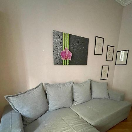 Gemutliche Wohnung Mit Super Lage فيينا المظهر الخارجي الصورة